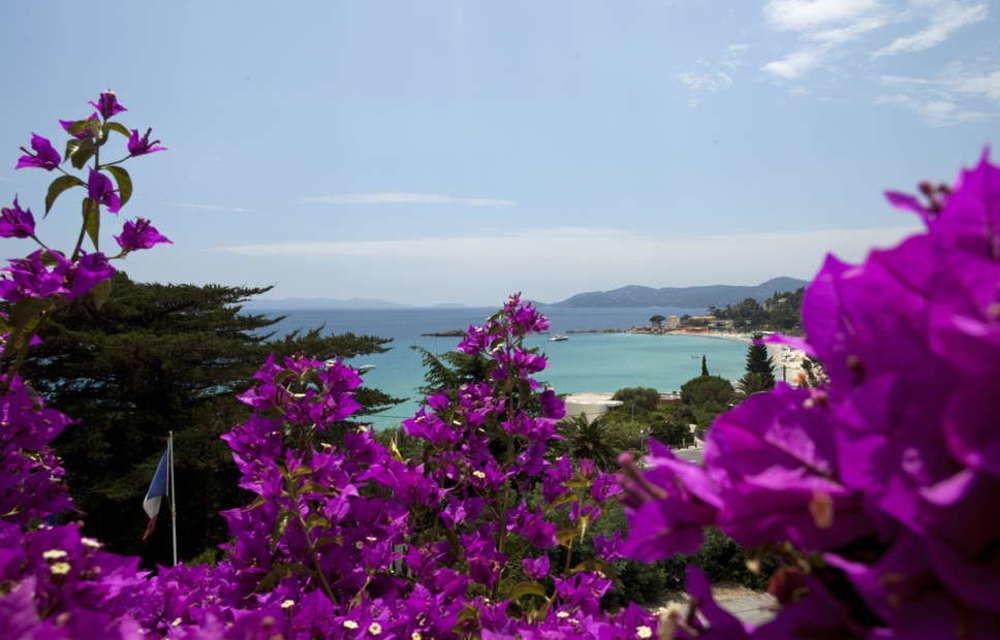 Belle Vue - Alojamientos en LE LAVANDOU