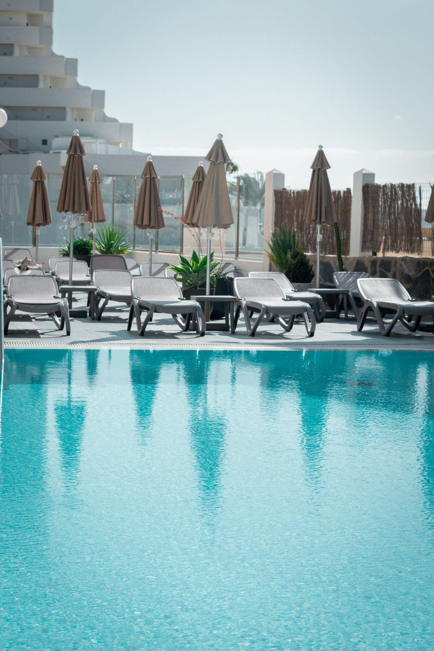 dal travel APARTAMENTOS EL PALMAR