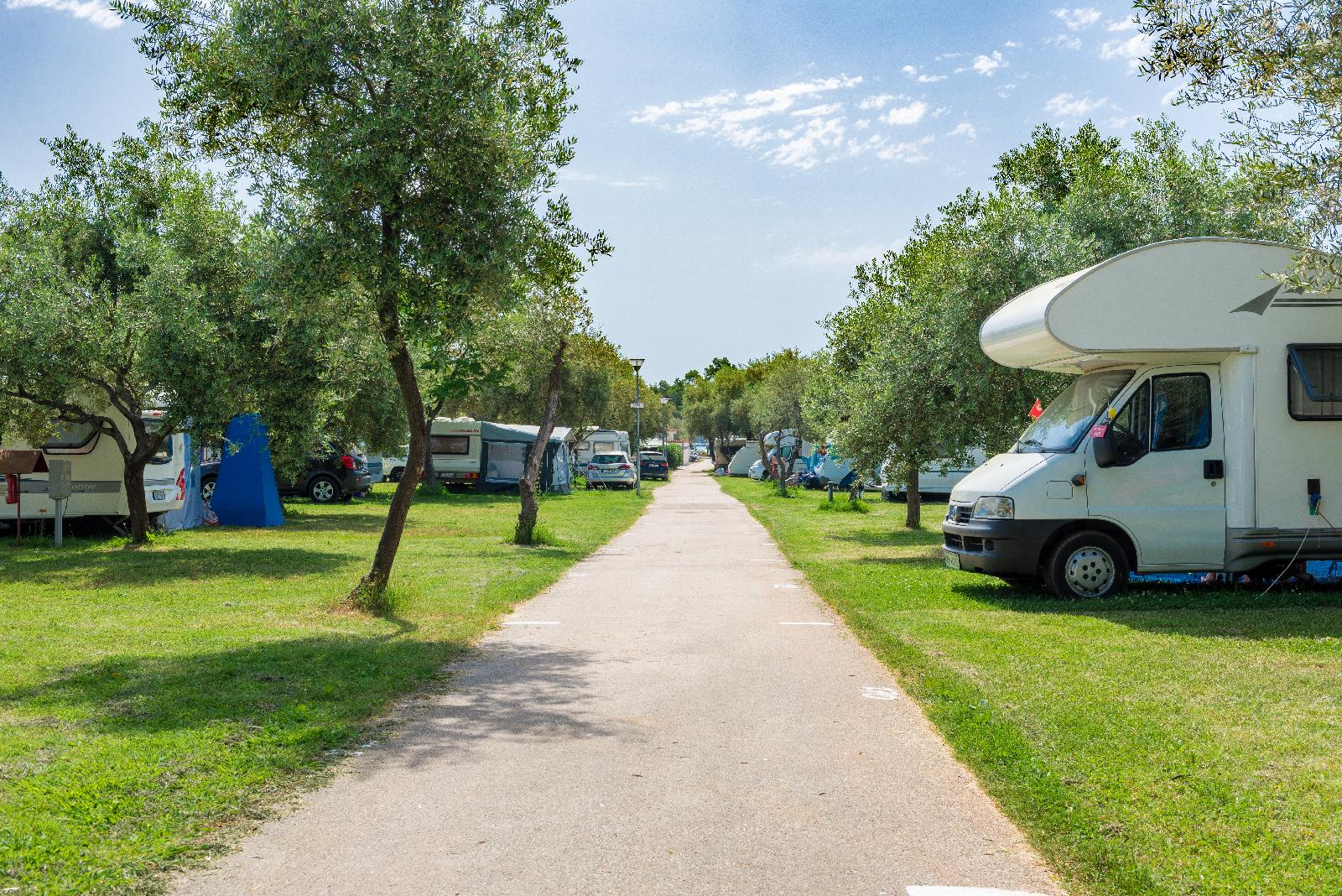 Camping Oliva