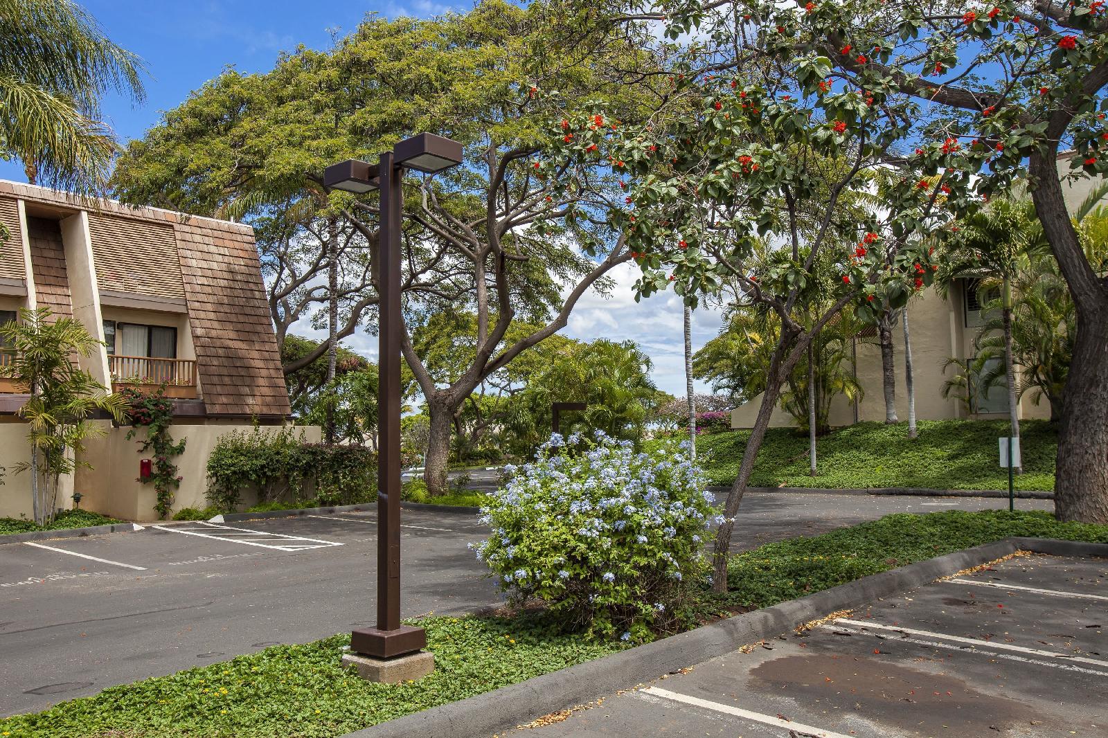 Maui Kamaole - Maui Condo & Home