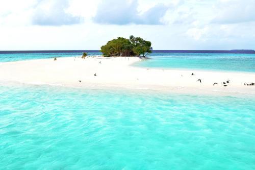 Fulidhoo La Perla Guest House
