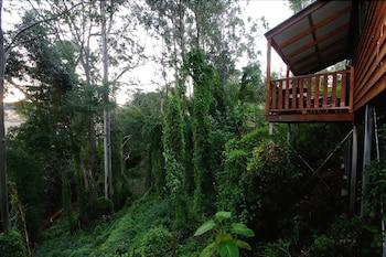 Ravensbourne Forest Chalets