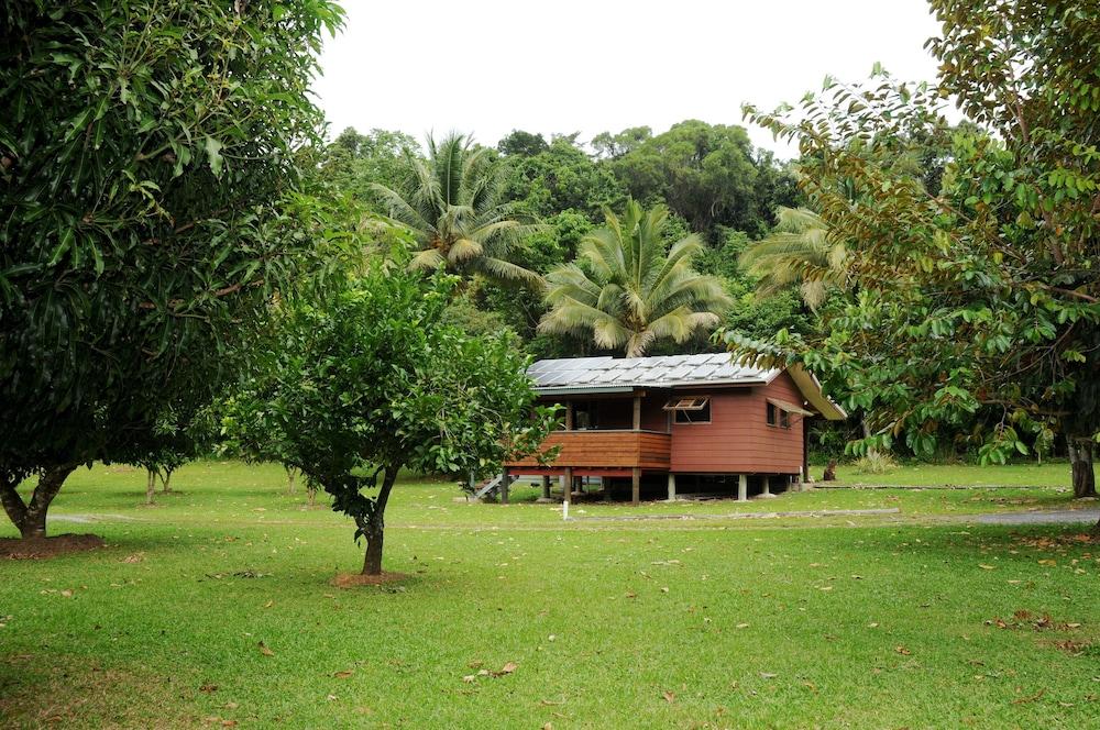 Daintree Rainforest Bungalows