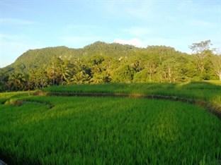 Bohol Paradise Hills Resort and Hotel