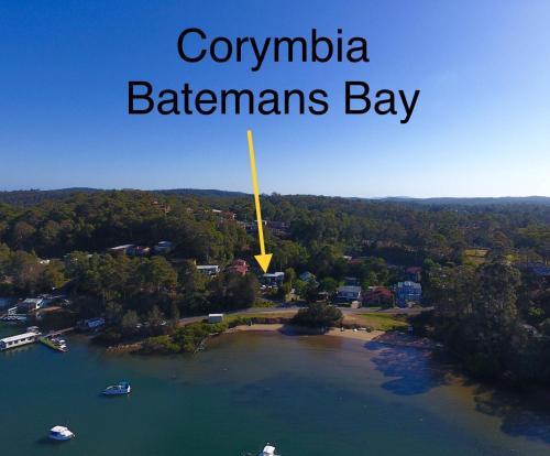 Corymbia Batemans Bay