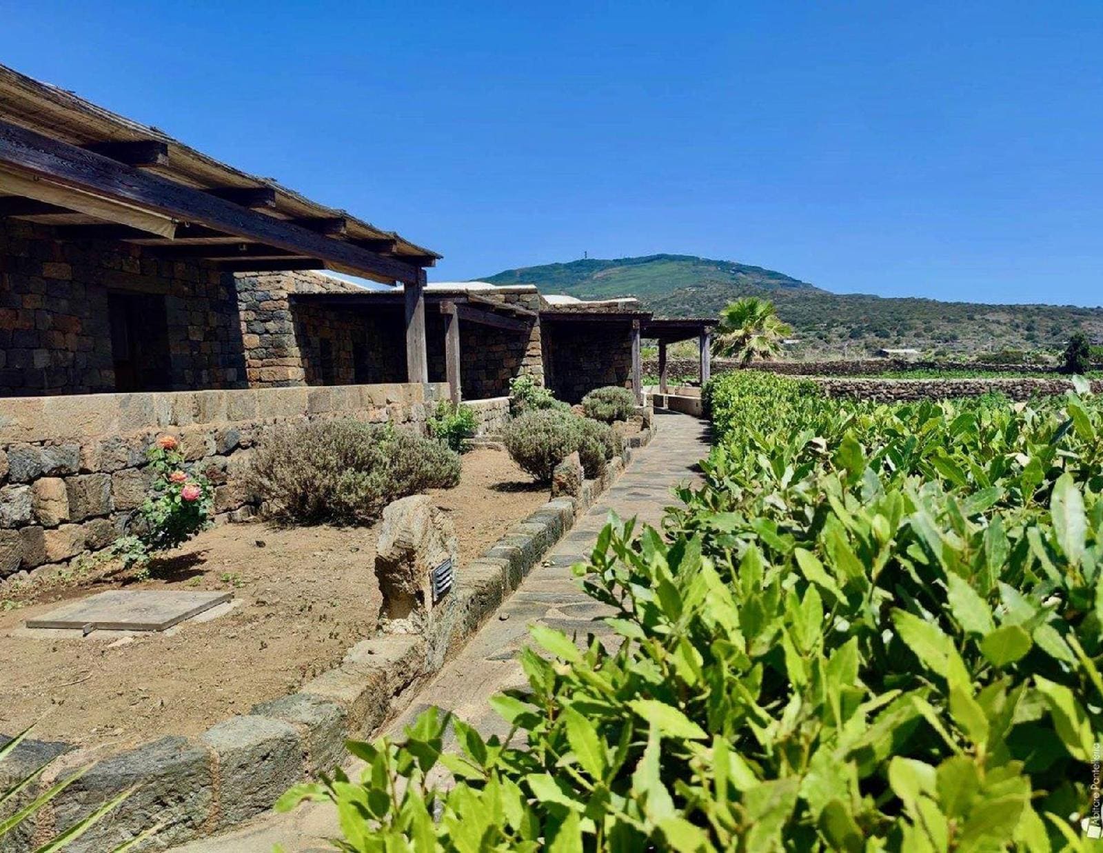 Tenuta Bukkuram