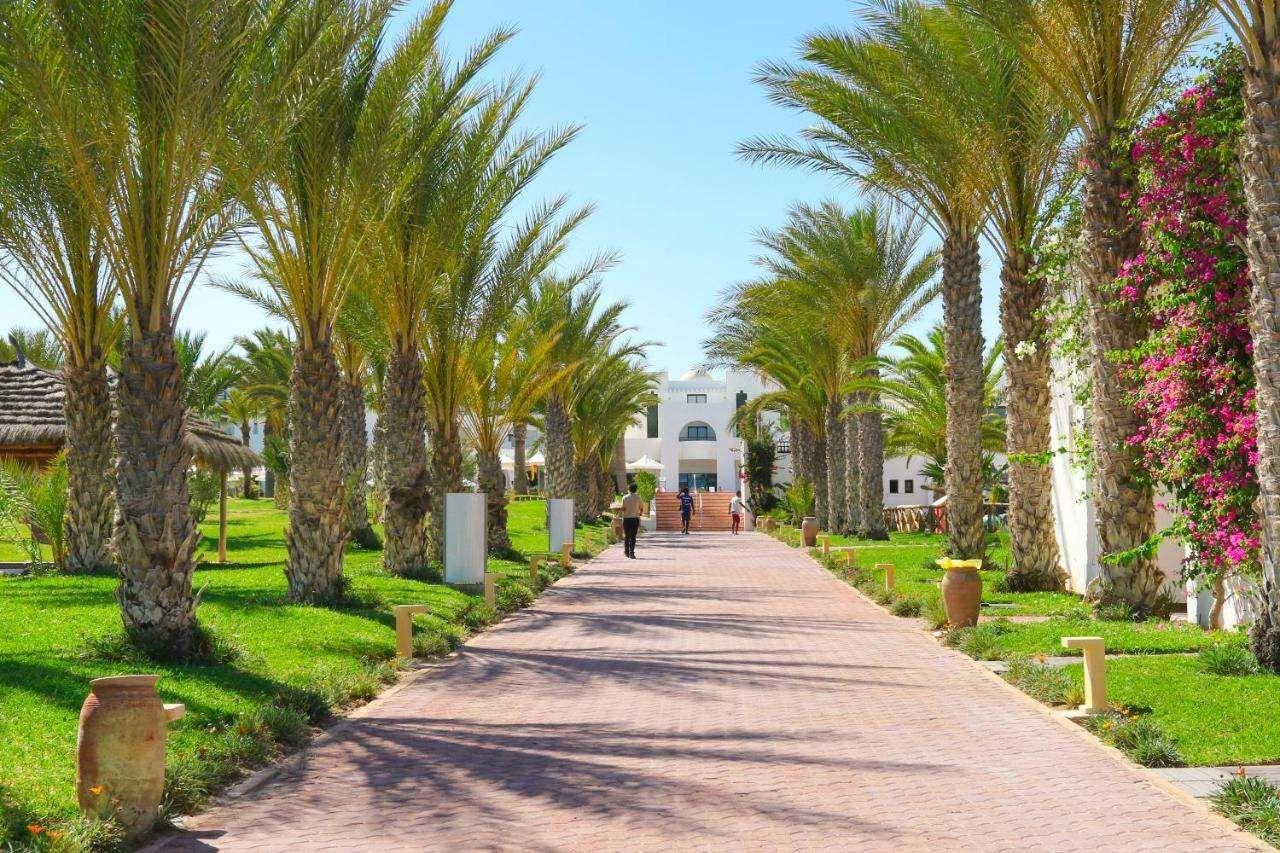 Palm Azur