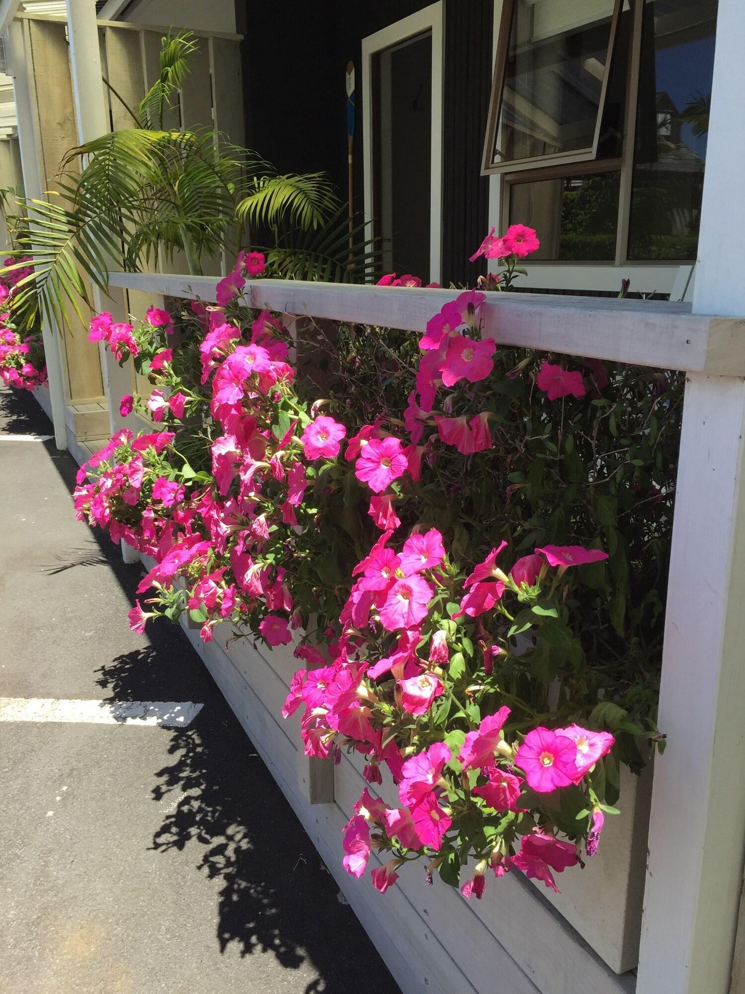 Stay Kerikeri