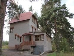 Samara Cottages Sosnovy Bor 113