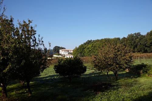 Quinta Do Sobral